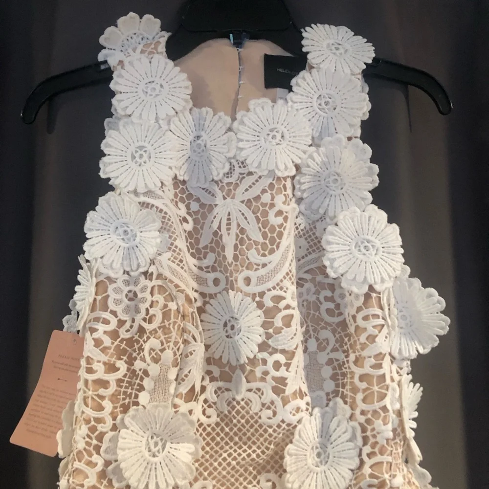 Helen O’Connor Daisy Dress Ivory | Anthropologie Mini & Tunic Dresses - Picture 4 of 7